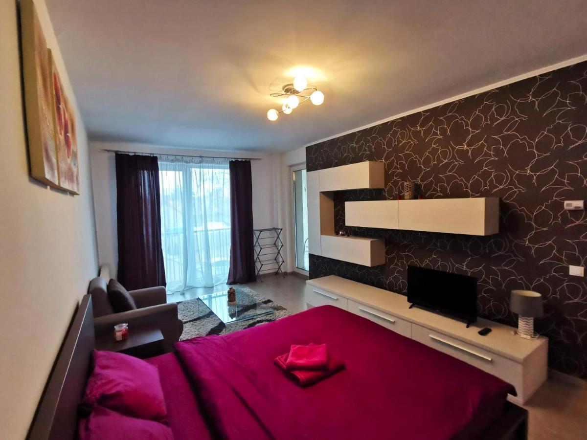 Contemporary Central Apartment In Cluj Napoca 外观 照片