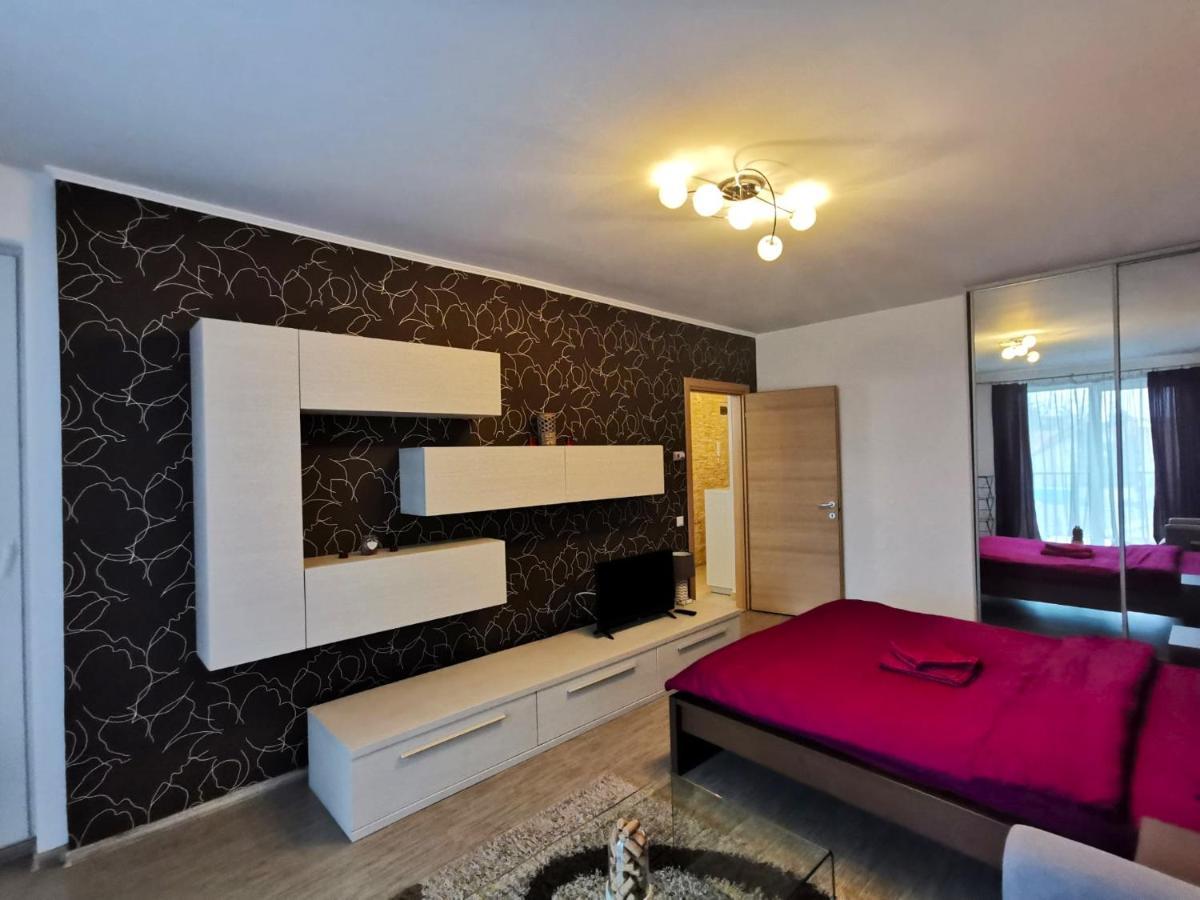Contemporary Central Apartment In Cluj Napoca 外观 照片