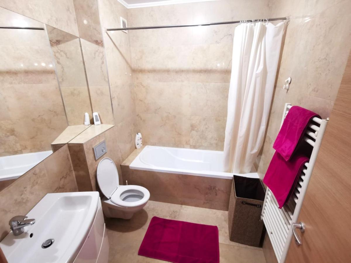 Contemporary Central Apartment In Cluj Napoca 外观 照片