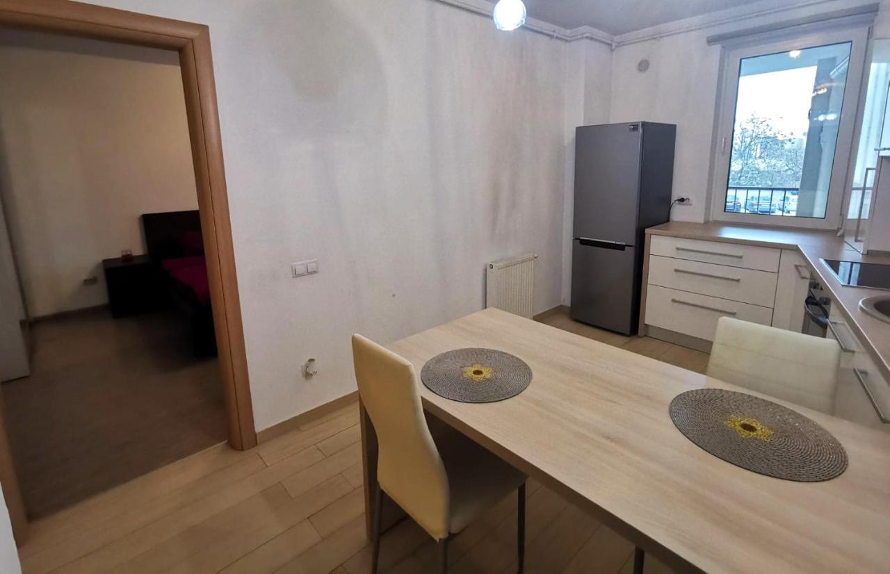 Contemporary Central Apartment In Cluj Napoca 外观 照片