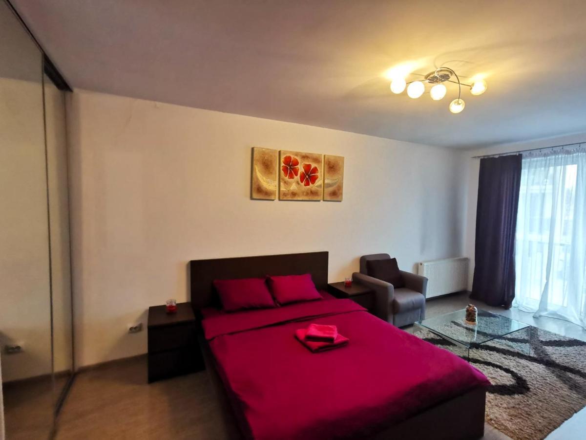 Contemporary Central Apartment In Cluj Napoca 外观 照片